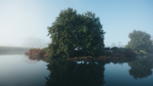 Misty morning beside a river with calm water, reeds and trees - Australian Stock Image