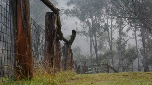 Misty morning fenceline - Australian Stock Image