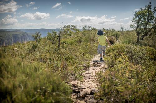 Mixed race boy bush walking in the Blue Mountains - Australian Stock Image