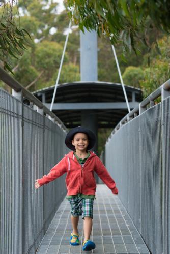 Mixed race boy happily walks along a treetop walkway near Sydney - Australian Stock Image