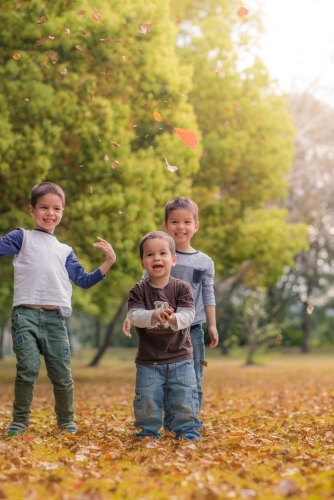 Mixed race boys play in a park with Autumn leaves - Australian Stock Image