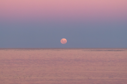 Moon going down over ocean, Victor Harbour, South Australia - Australian Stock Image