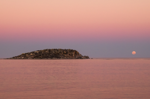 Moon going down over ocean with rocky island in foreground, Victor Harbor, South Australia - Australian Stock Image
