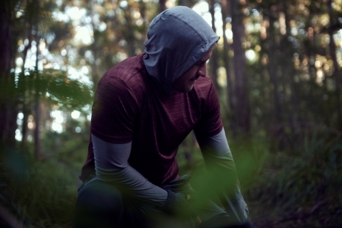 Morning Run in the Woods / Forest / Bush - Australian Stock Image