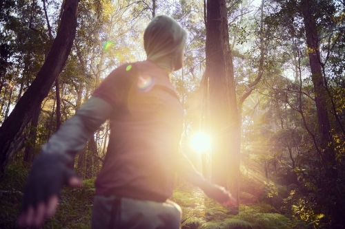 Morning Run in the Woods / Forest / Bush - Australian Stock Image