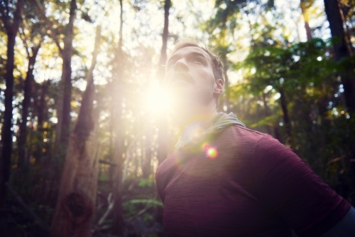 Morning Run in the Woods / Forest / Bush - Australian Stock Image