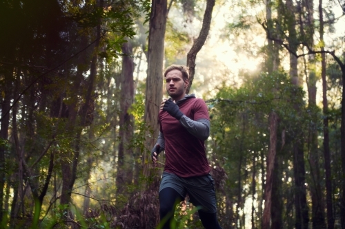 Morning Run in the Woods / Forest / Bush - Australian Stock Image