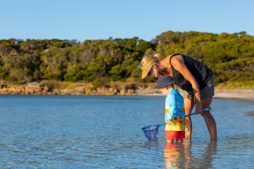 mother and child wading in water with scoop net - Australian Stock Image