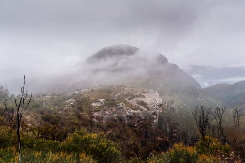 Mount Banks in the Blue Mountains shrouded in fog