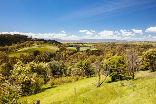 Mount Lofty Circuit Walk in Warrandyte State Park on a hot spring day in Wonga Park, Melbourne, - Australian Stock Image
