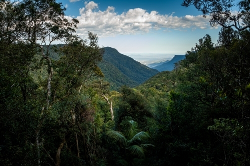 Mountain range view beyond the trees under the cloudy sky. - Australian Stock Image