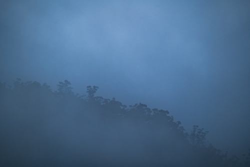 Mountain ridge and trees in foggy weather - Australian Stock Image