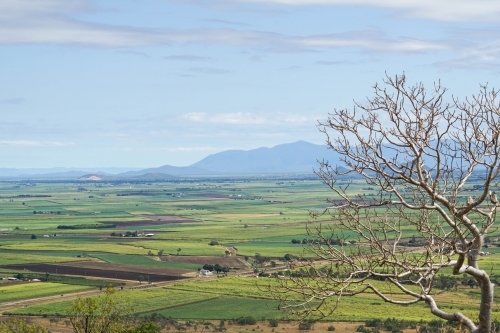 Mountain top view of green pastoral farmland - Australian Stock Image