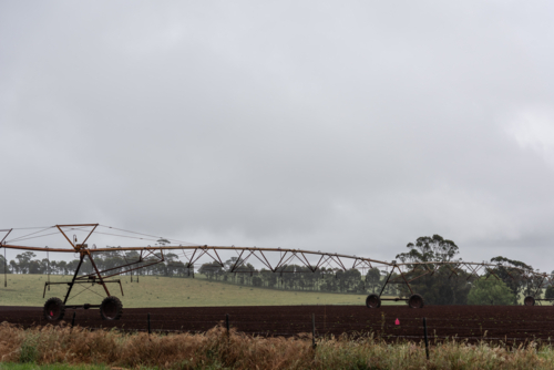 moving sprinkler lines on a rural country crop - Australian Stock Image