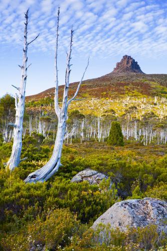 Mt. Pelion East - Australian Stock Image