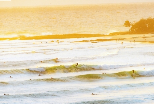 Multiple surfers riding waves during the early morning. - Australian Stock Image