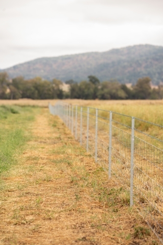 New paddock fence on a farm - Australian Stock Image