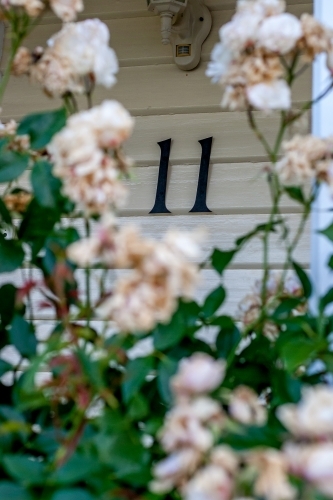 Number eleven on the front wall of a weatherboard house - Australian Stock Image