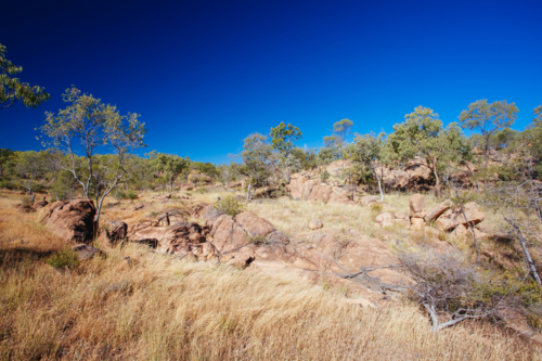 O'Brien's Creek and surrounding gem fossicking landscape near Mount Surprise in Queensland - Australian Stock Image