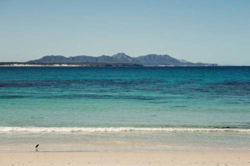 Ocean view towards towards mountains in National Park - Australian Stock Image