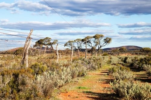 old fenceline heading towards trees - Australian Stock Image