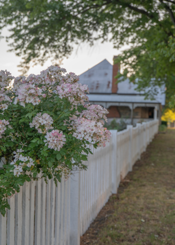 Old historic cottage and country garden - Australian Stock Image