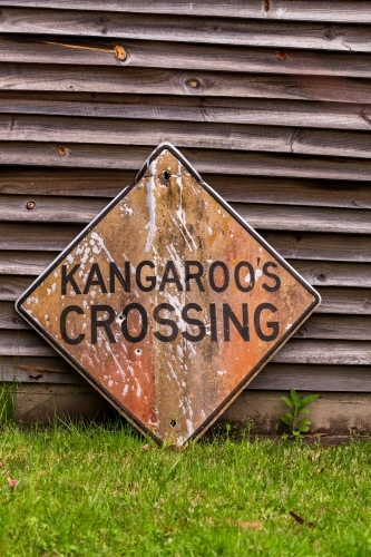 Old "Kangaroos crossing" sign sitting against wooden wall - Australian Stock Image