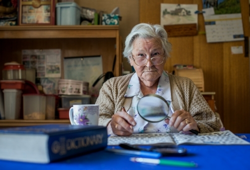 Old lady at dining table doing crossword puzzle with dictionary, glasses, magnifying glass, tea - Australian Stock Image