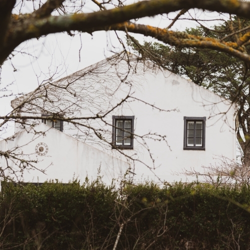 Old rural victorian home with tree in foreground - Australian Stock Image