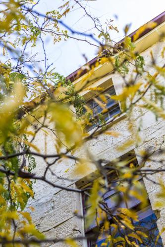 Old sandstone building behind autumn leaves in Salamanca - Australian Stock Image