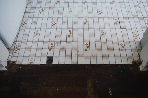 Old tile floor in bathroom - Australian Stock Image