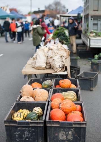 Organic pumpkins and produce at a regional market - Australian Stock Image