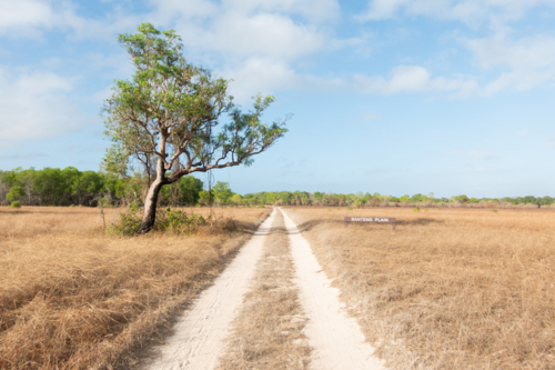 Outback coastal track in Arnhem Land - Australian Stock Image