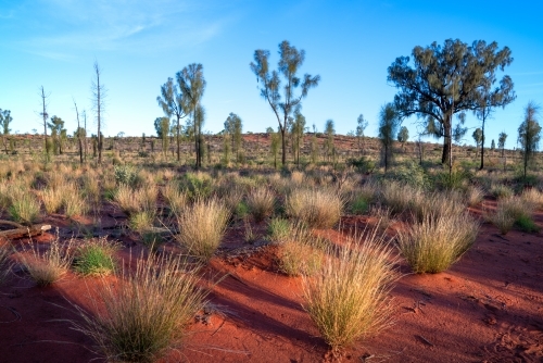 Outback desert sands - Australian Stock Image