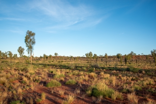 Outback landscape - Australian Stock Image