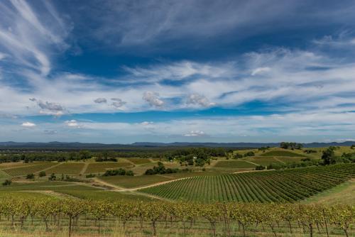 Outlook over vineyards in the Hunter Valley - Australian Stock Image