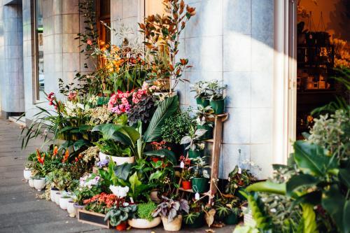 Outside a Florist - Australian Stock Image