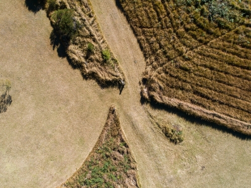 Overhead photo of grass patterns in paddock clearing camping ground - Australian Stock Image