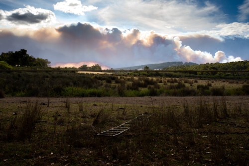 Paddock on rural afternoon with bushfire smoke on horizon