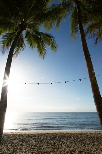 palm trees waterfront at Palm Cove - Australian Stock Image