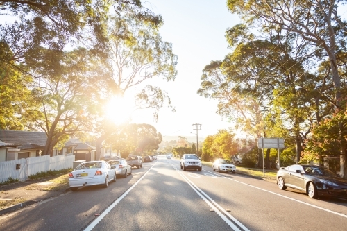 Parked cars on the side of a Newcastle road with sun flare through gum trees - Australian Stock Image