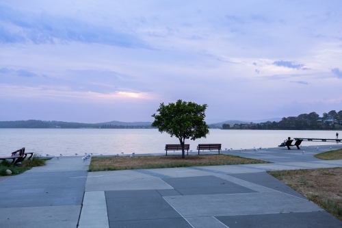 Pastel dusk light over water of Warners Bay with gulls and seats on foreshore - Australian Stock Image