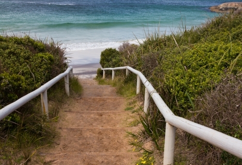 Path leading to waterfall beach, william bay national park, great southern ocean