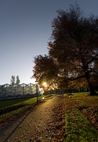 Pathway leading through gardens at sunset - Australian Stock Image