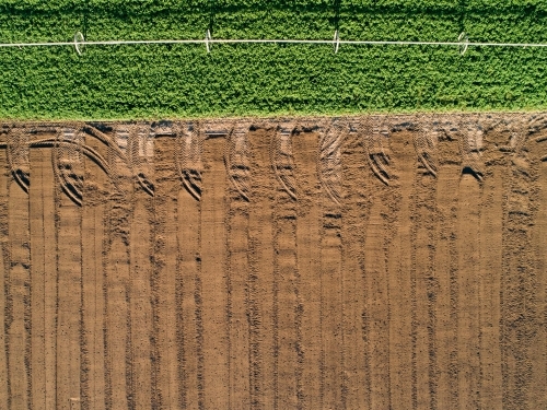 Patterns of green and brown in farm paddock - Australian Stock Image