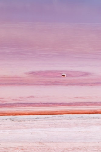 patterns on shore of pink salt lake as water evaporates - Australian Stock Image