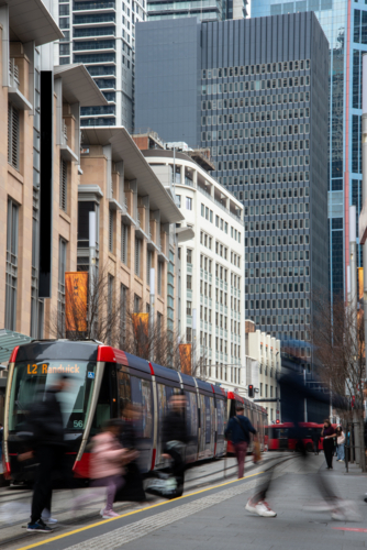 Pedestrians crossing road in front of light rail train in George Street - Australian Stock Image
