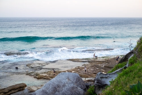 People and their dogs enjoying the coastal walk between Bondi and Tamarama beach - Australian Stock Image