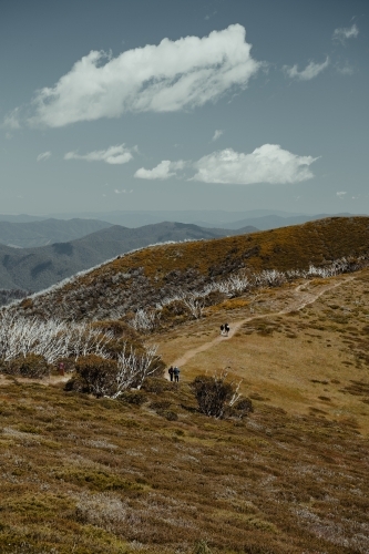 People hiking at the start of the Razorback Hiking Trailhead to Mount Feathertop. - Australian Stock Image