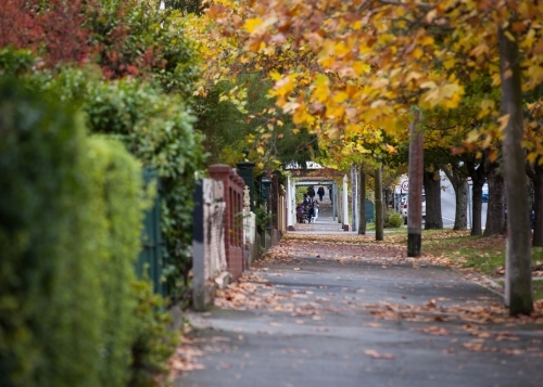 People sitting at a cafe on a tree lined street - Australian Stock Image